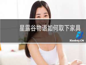 星露谷物语如何取下家具