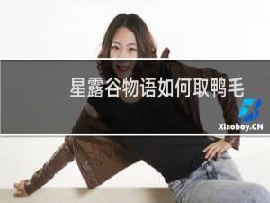 星露谷物语如何取鸭毛