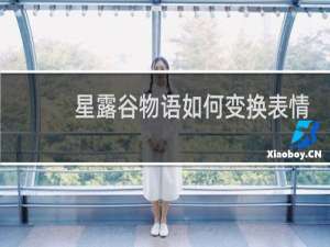 星露谷物语如何变换表情