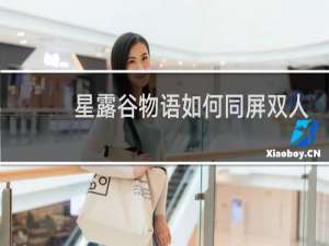 星露谷物语如何同屏双人