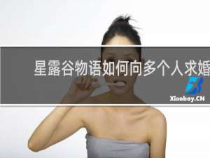 星露谷物语如何向多个人求婚