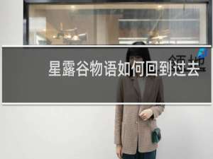 星露谷物语如何回到过去