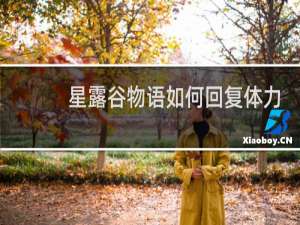 星露谷物语如何回复体力