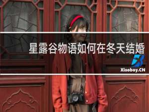 星露谷物语如何在冬天结婚