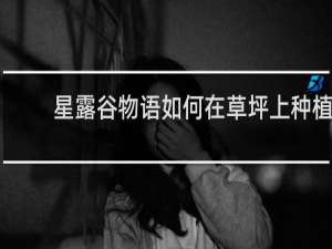 星露谷物语如何在草坪上种植