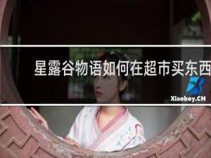 星露谷物语如何在超市买东西