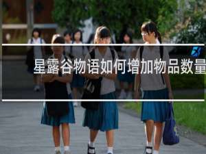 星露谷物语如何增加物品数量