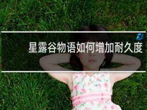 星露谷物语如何增加耐久度
