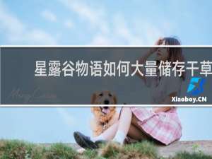 星露谷物语如何大量储存干草