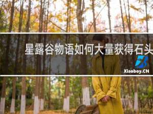 星露谷物语如何大量获得石头