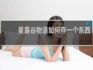 星露谷物语如何存一个东西