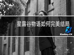 星露谷物语如何完美结局