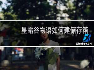 星露谷物语如何建储存箱