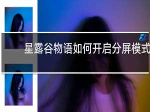 星露谷物语如何开启分屏模式