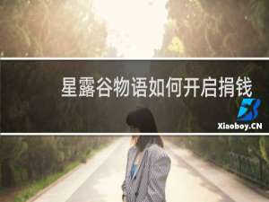 星露谷物语如何开启捐钱