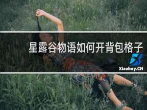 星露谷物语如何开背包格子