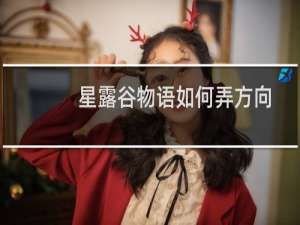 星露谷物语如何弄方向