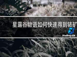 星露谷物语如何快速得到铱矿