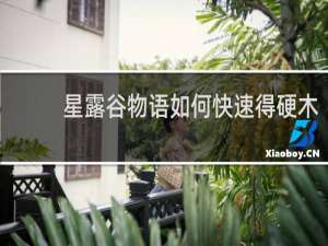 星露谷物语如何快速得硬木