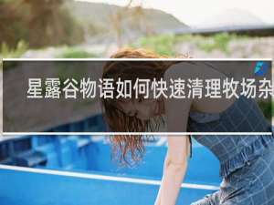 星露谷物语如何快速清理牧场杂物