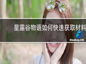 星露谷物语如何快速获取材料