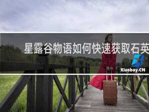 星露谷物语如何快速获取石英