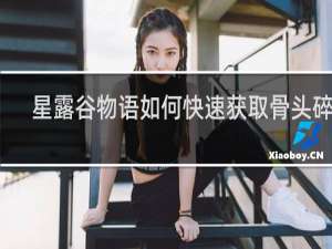 星露谷物语如何快速获取骨头碎片