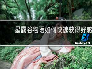 星露谷物语如何快速获得好感