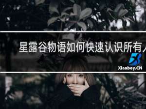 星露谷物语如何快速认识所有人