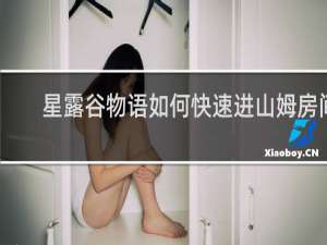 星露谷物语如何快速进山姆房间