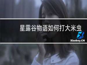 星露谷物语如何打大米虫