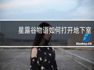 星露谷物语如何打开地下室
