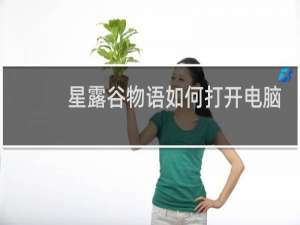 星露谷物语如何打开电脑