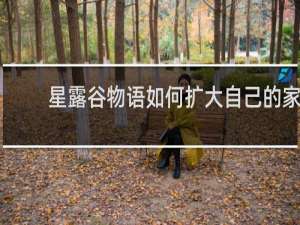 星露谷物语如何扩大自己的家