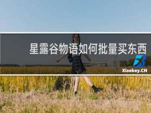 星露谷物语如何批量买东西