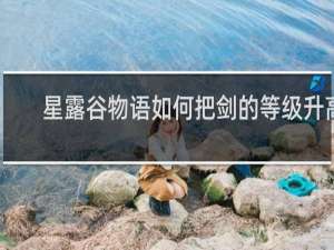 星露谷物语如何把剑的等级升高