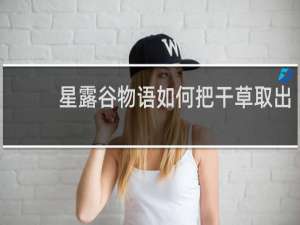 星露谷物语如何把干草取出