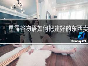 星露谷物语如何把建好的东西卖掉