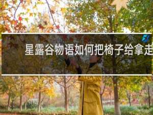 星露谷物语如何把椅子给拿走