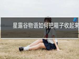 星露谷物语如何把箱子收起来