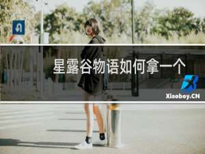 星露谷物语如何拿一个