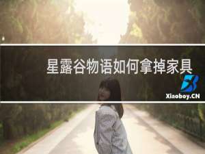 星露谷物语如何拿掉家具