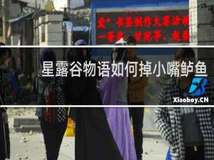星露谷物语如何掉小嘴鲈鱼