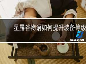 星露谷物语如何提升装备等级