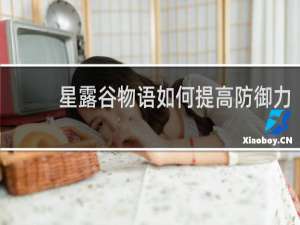 星露谷物语如何提高防御力