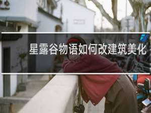 星露谷物语如何改建筑美化