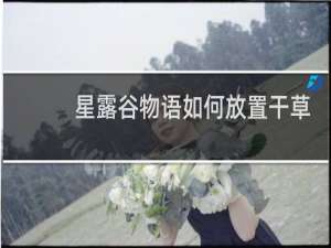 星露谷物语如何放置干草