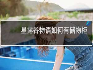 星露谷物语如何有储物柜