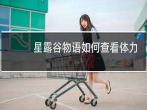 星露谷物语如何查看体力