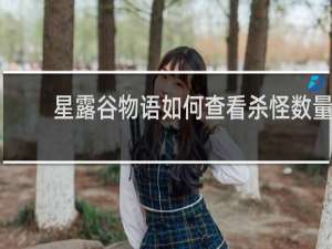 星露谷物语如何查看杀怪数量